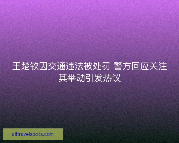王楚钦因交通违法被处罚 警方回应关注其举动引发热议