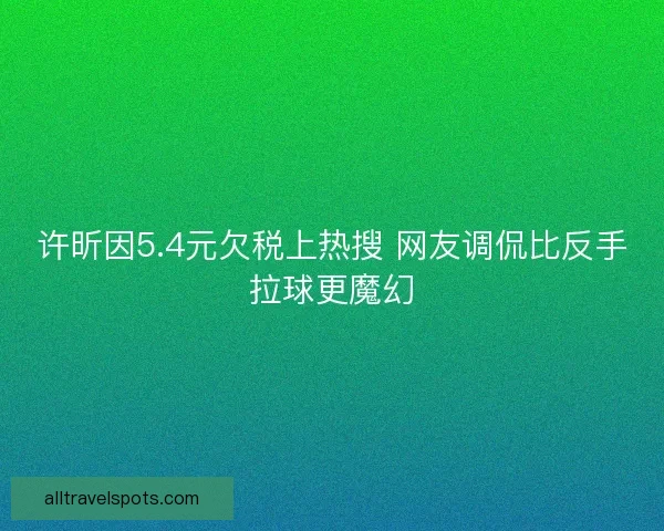 许昕因5.4元欠税上热搜 网友调侃比反手拉球更魔幻